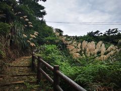 -四明山国家森林公园