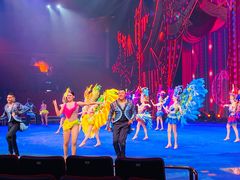 -珠海横琴长隆《卡卡虎奇遇记》