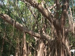 -广州市白云山风景名胜区