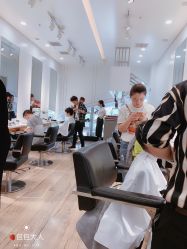 -YESIDO椰岛造型