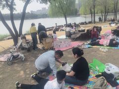 -南翔镇银翔湖公园