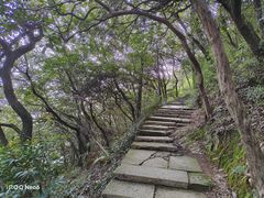 -杭州半山国家森林公园