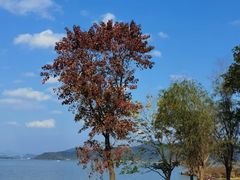 -东钱湖旅游度假区