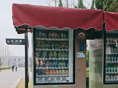 -洛阳古墓博物馆