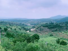-许家山