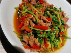 香菜炒牛肉-壹盏灯(蚂蚁工房店)