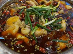 -乡土特色.冷锅鱼.牦牛肉汤锅