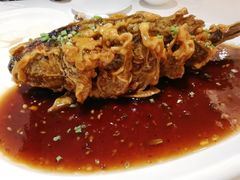 老济南糖醋鲤鱼-金春禧(世茂国际广场店)