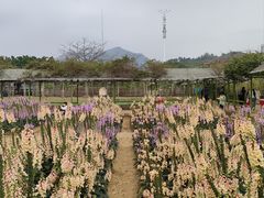 -盈香心动乐园