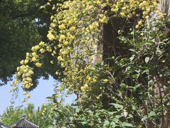 -山塘街