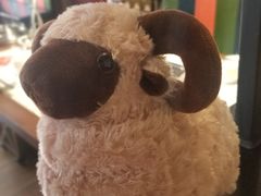 -九府羊·鲜羊火锅·烤串(新华路店)