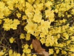 -青岛大学路小学