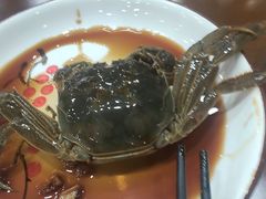 -红灯笼龙凤饭店(宁波老字号店)