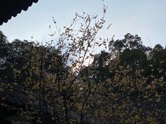-成都杜甫草堂博物馆