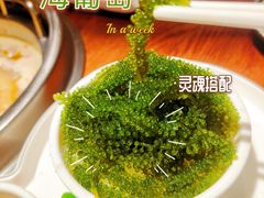 -快乐小羊(锡华店)