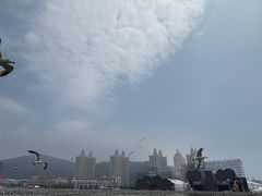 -星海广场