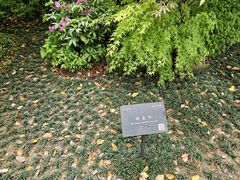 -公平路渡口(轮渡站)