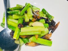 鸡枞菌炒芦笋-千日贺茶餐厅(高新万达店)