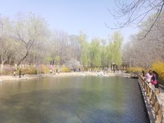 -云岗森林公园