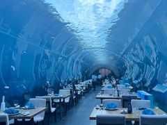 -海棠湾洲际-涛·海底餐厅·美人鱼·自助餐·海底隧道