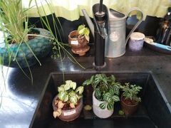 -北马山庄植趣咖啡