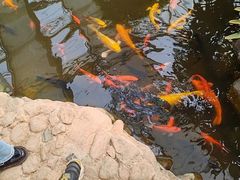-北戴河集发农业梦想王国