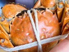 阳澄湖大闸蟹-蟹天蟹地农家菜·阳澄湖大闸蟹(浅水湾店)