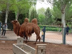 -长白岛森林公园