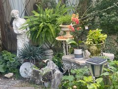 -Jo's Garden