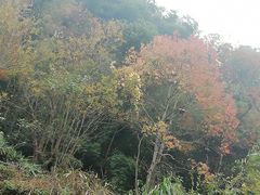 -常德桃花源景区