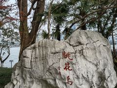 -金鸡湖桃花岛