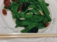 -中苑海韵