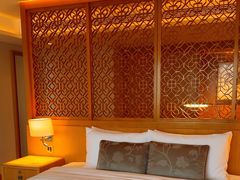 -广州白天鹅宾馆