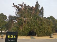 -上海月湖雕塑公园