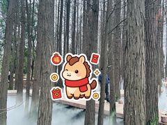 -东湖落雁景区