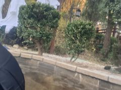 -徂徕山森林康养度假谷温泉