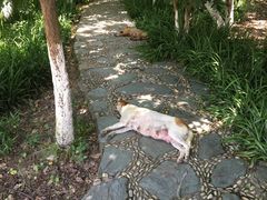 -白马涧龙池景区