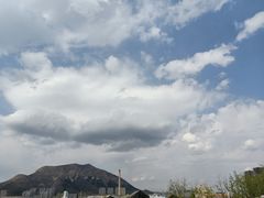 -大连市皮肤病医院