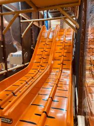 -卡通尼·Safari非洲探索乐园·生日会(金桥国际商业广场店)