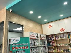 -东日国际动物医院·CT·心脏专科(桃源分院)