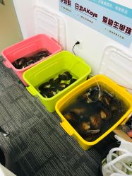 -邵老师打金·黄金加工(大望路总店)