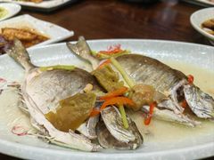 清蒸仓鱼-抱德·潮汕味(琶洲店原惠城鱼仔)