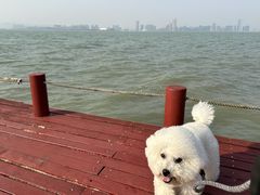 -苏州东太湖生态园
