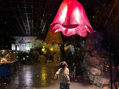 -顺德南宏海立方海洋公园