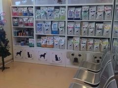 -瑞派·关忠动物医院(国瑞店)
