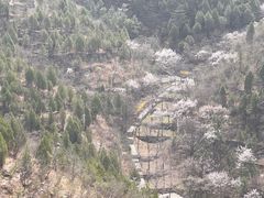 -娲皇宫