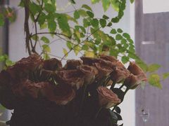 -春暖花开(西溪店)