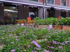 -Money Shops(愚园路店)