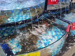-田园·晶品会(鹤庆路店)
