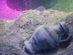 -临沂极地海洋王国